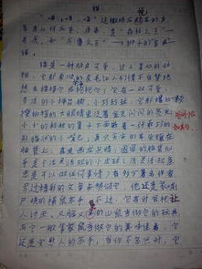 观察一种小动物作文200字