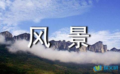 美的作文500字