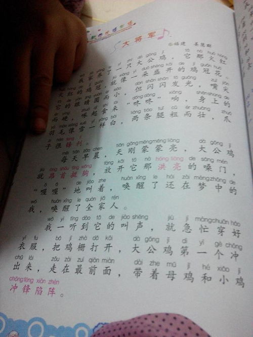 描写动物的作文100字