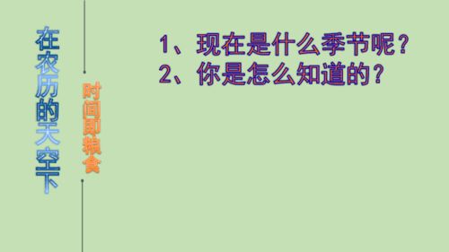 一件烦心作文400字四年级上册