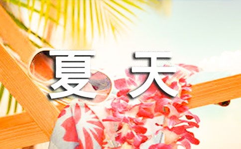 夏天作文300字优秀