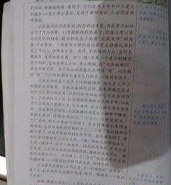 用说明方法写一种事物作文300字