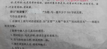 我读懂了友谊作文600字