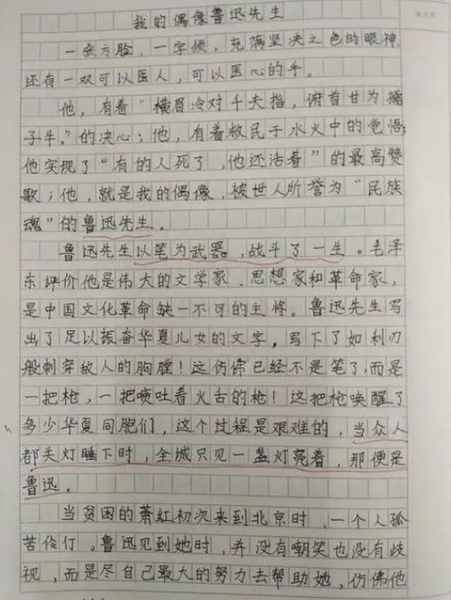 我的偶像优秀作文600字初一