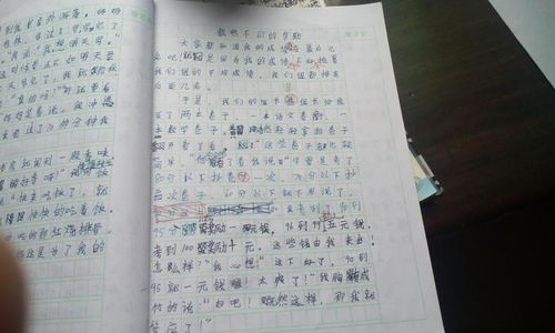 帮助别人作文300字三年级