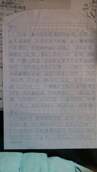 我的作文400字左右