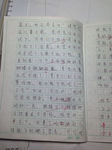 难忘的一件事作文400字