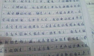 心得体会600字