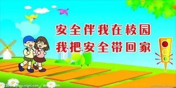 安全学习心得体会