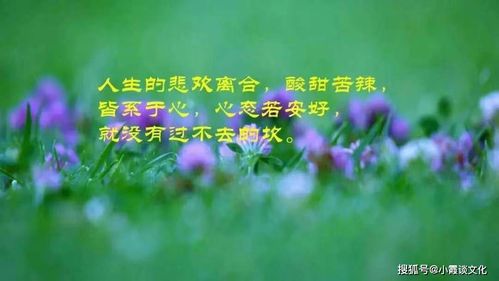 女人创业的励志句子