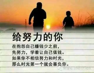 草房子的读书笔记摘抄好词好句