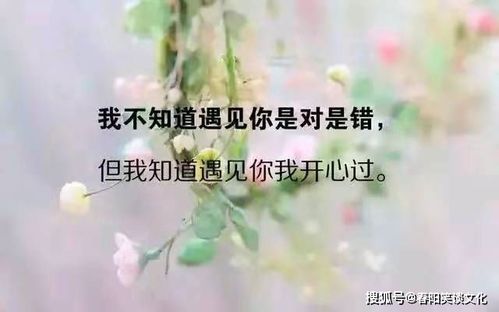 关于心情的句子简短