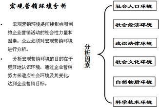 市场营销细分案例分析