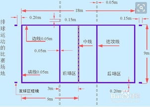 排球的基本知识