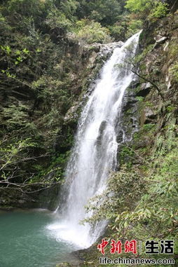 描写井冈山的自然美景