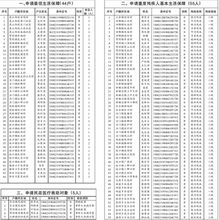 民政救助申请书范文