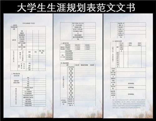 大学规划800字范文