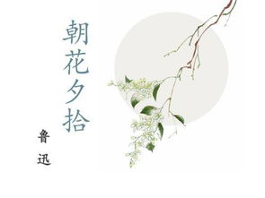 朝花夕拾无常感悟20字