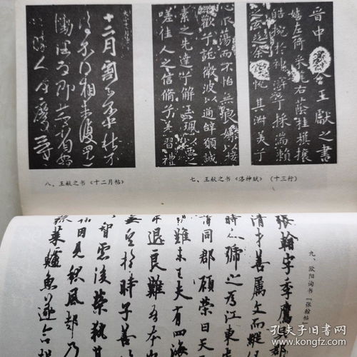 古代书法家的小故事50字