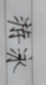 月亮小练笔150字