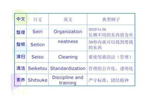 企业5s管理内容和标准