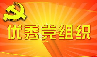 党组织对个人鉴定意见