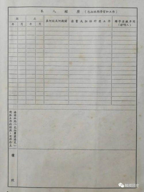 少先队代表登记表填写