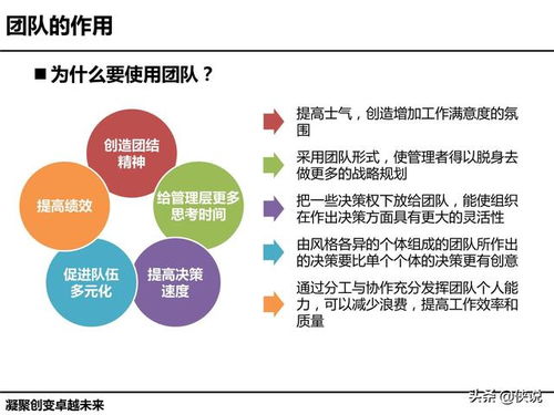 团队建设思路和方案