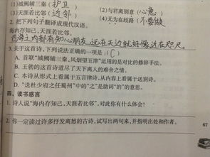 小学生读书感言50字