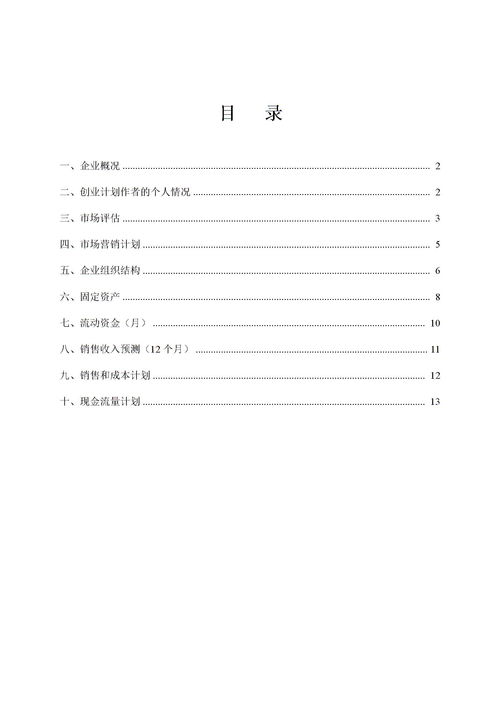 syb创业计划书