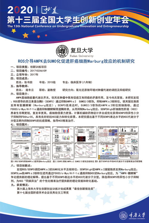 大学生创新创业计划项目