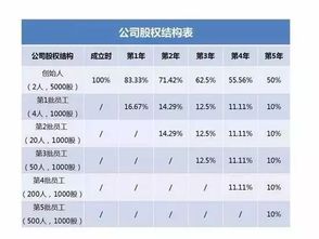 合伙公司股权分配方案