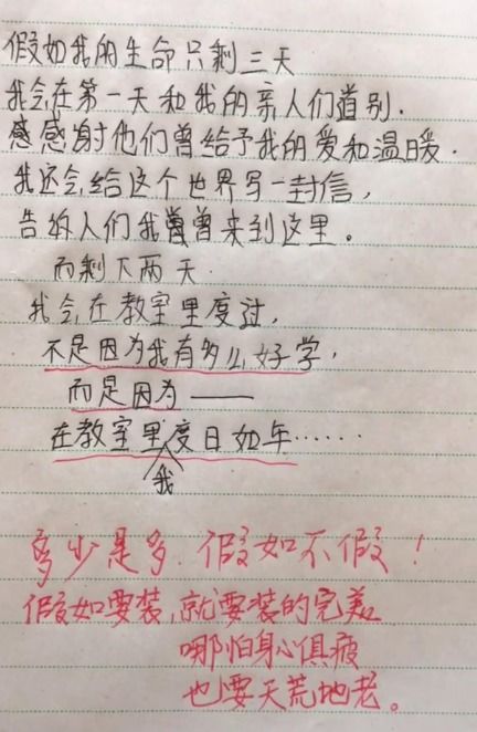 小学生写给爸爸的一封信