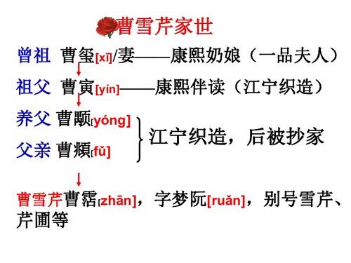 红楼梦1到120回简要概括