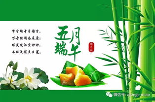 关于端午节的资料