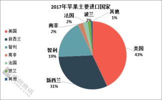 国内市场现状分析