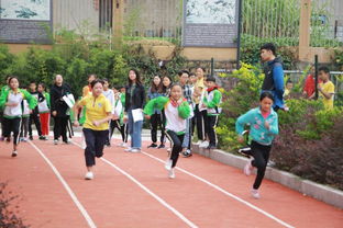 小学秋季运动会报道稿