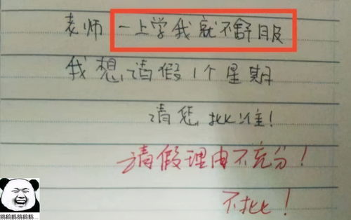 学生申请理由50字