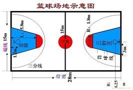 篮球场作文300字左右