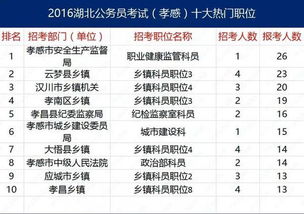 公务员报考岗位