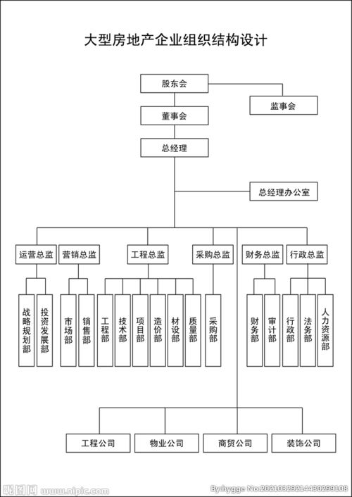 公司组织结构设计