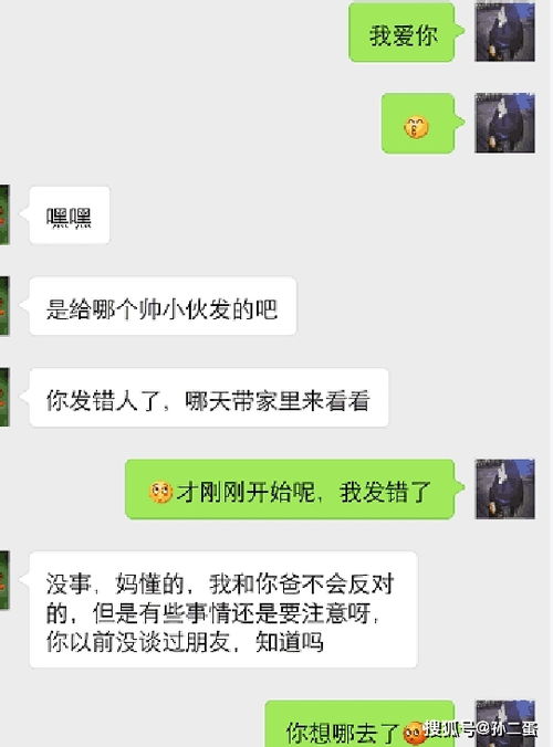 给女朋友写的情话小作文600