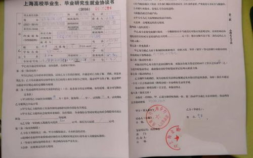 学校签假合同还算应届生吗(假的劳动合同应付学校为了毕业影响应届毕业生身份吗)