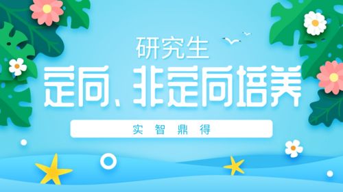 定向和非定向哪个好(研究生非定向和定向哪个好)