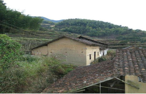 私下转让宅基地有效吗(同村村民之间宅基地转让有效吗)