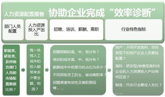 公司人员配置方案怎么写，人力资源配置方案,我该怎么写