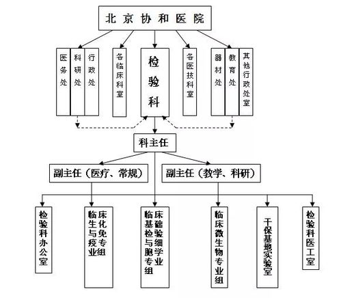 医院学科发展规划怎么写，医院外科科室工作计划范文大全(精选5篇)