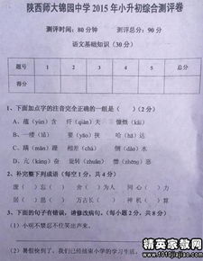 小学生素养表现怎么写一年级，一年级小学生素质报告评语