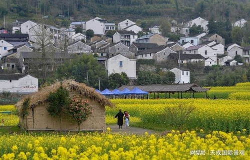 建设美丽乡村有哪些举措，乡村振兴有哪些具体措施