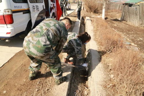 环保实践活动的活动过程怎么写，捡垃圾的实践内容怎么写